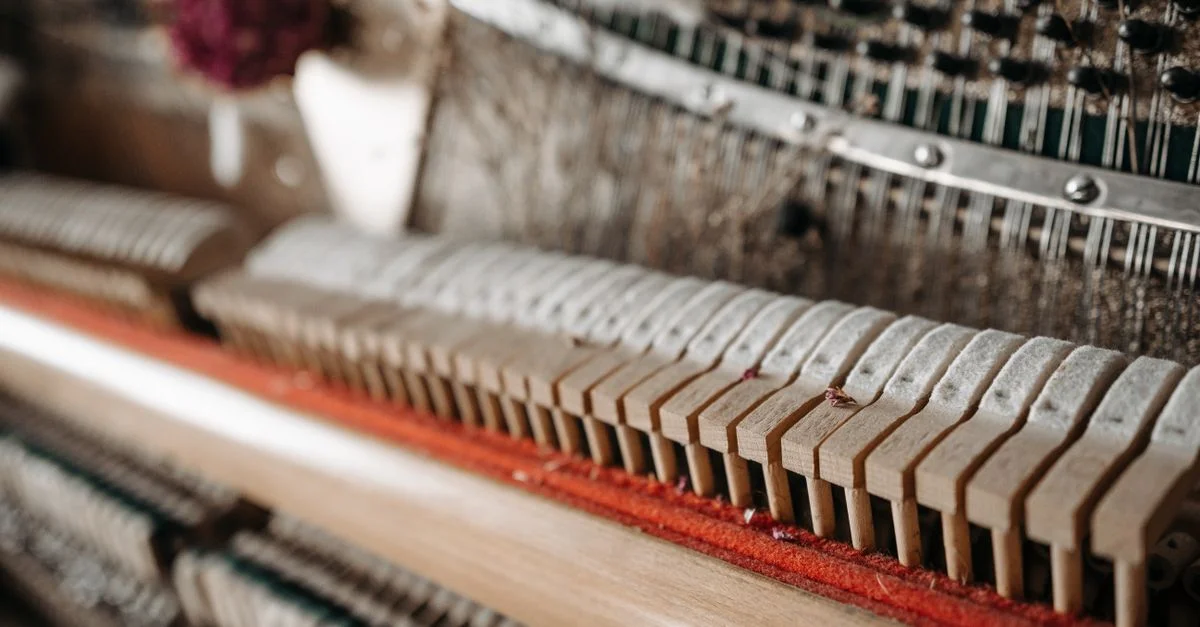Gros plan détaillé de gourds de piano montrant une texture complexe et des éléments en bois.